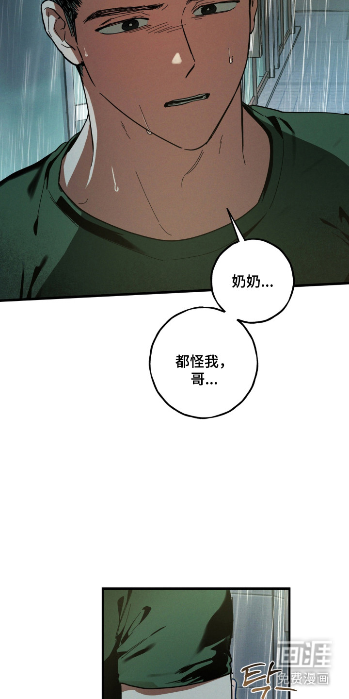 第53话19