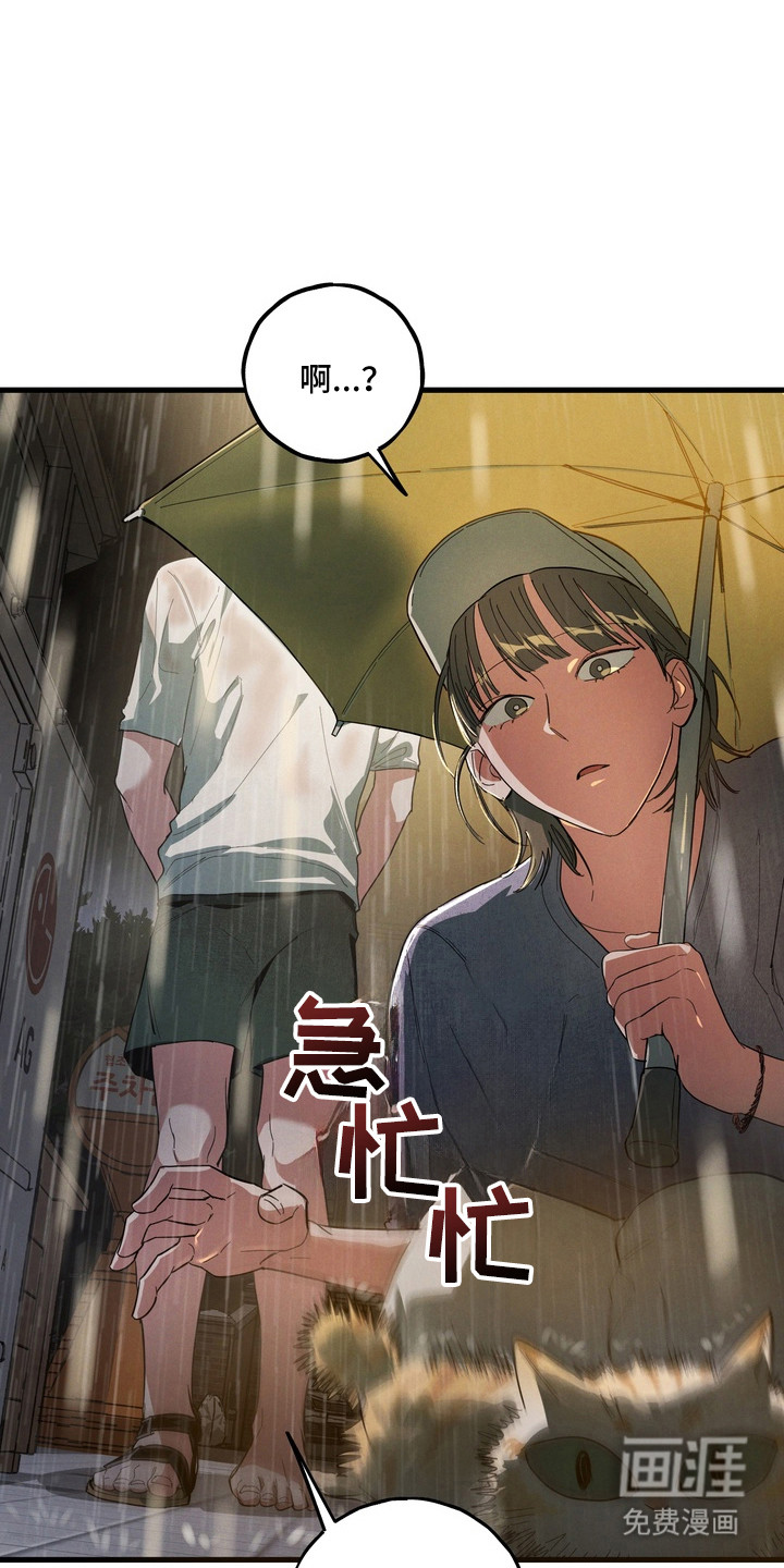第49话13