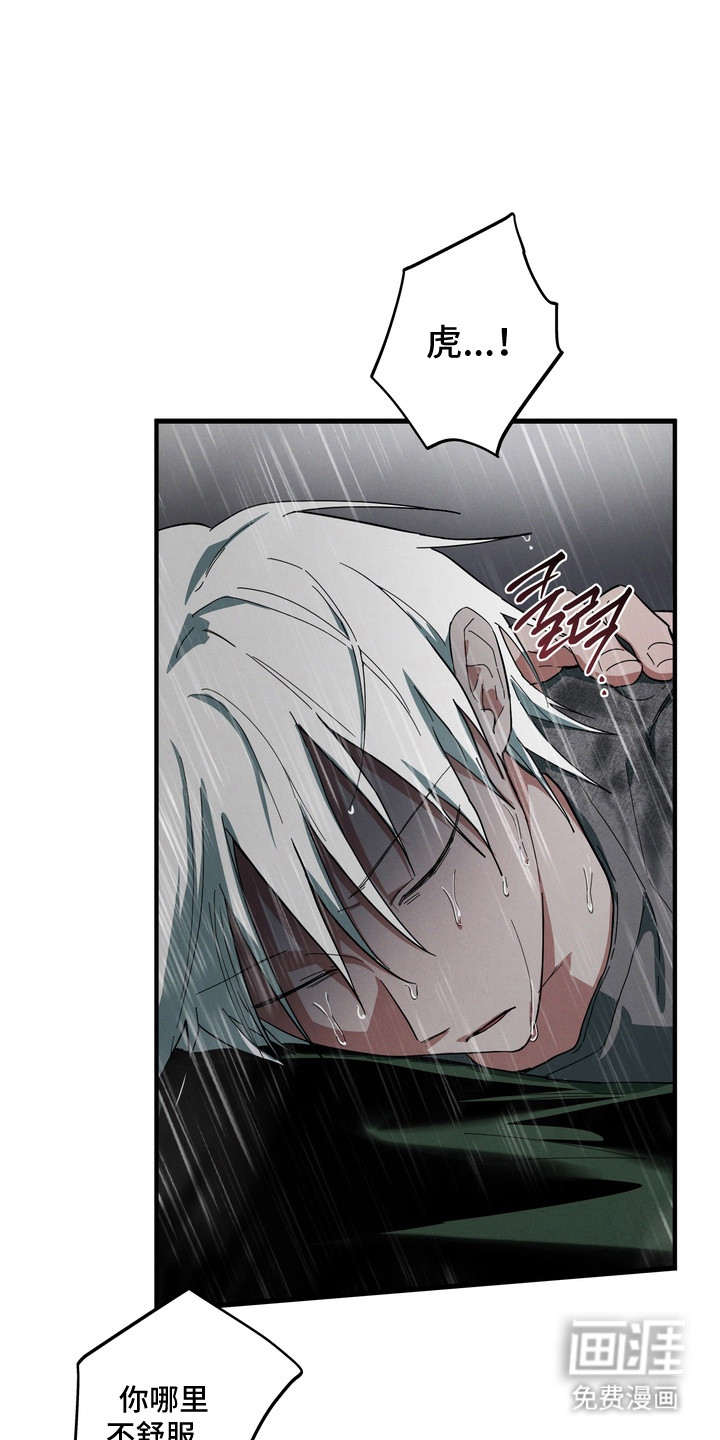第49话5