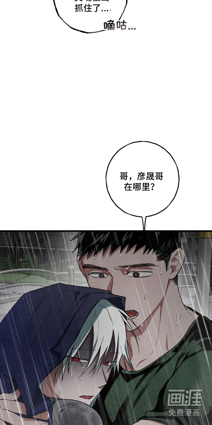 第49话8