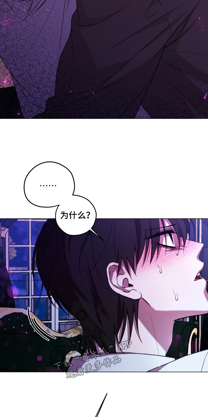 第44话17