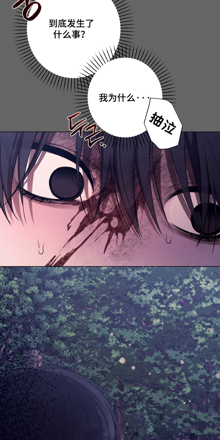 第41话11