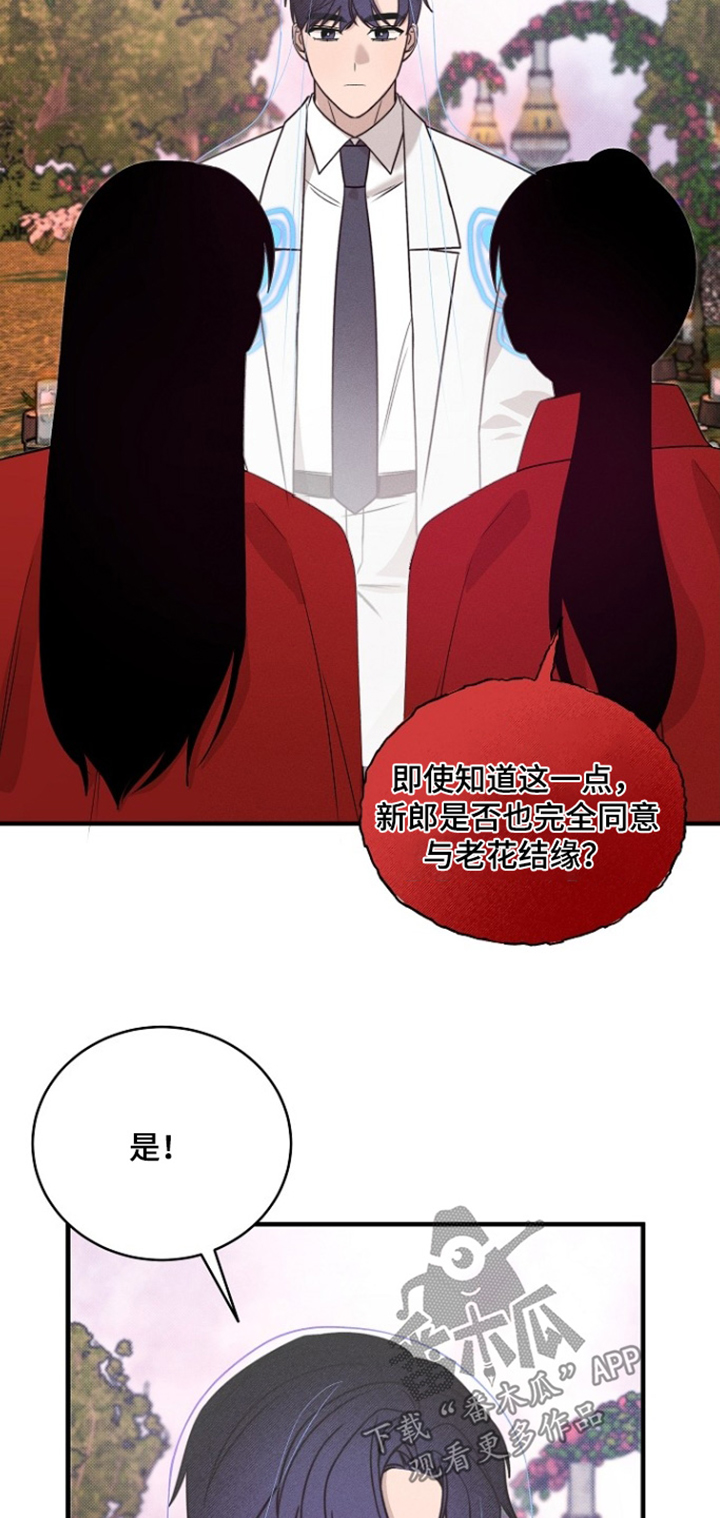 第80话11
