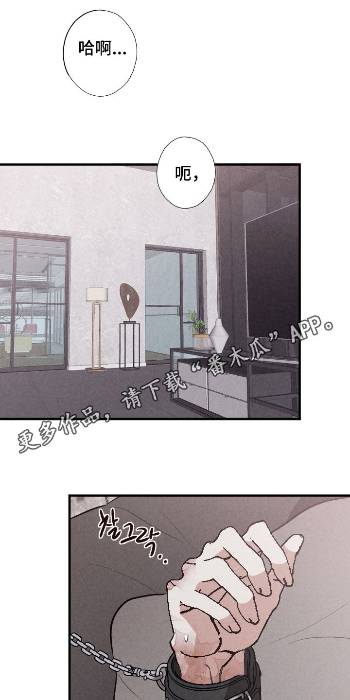 第66话0