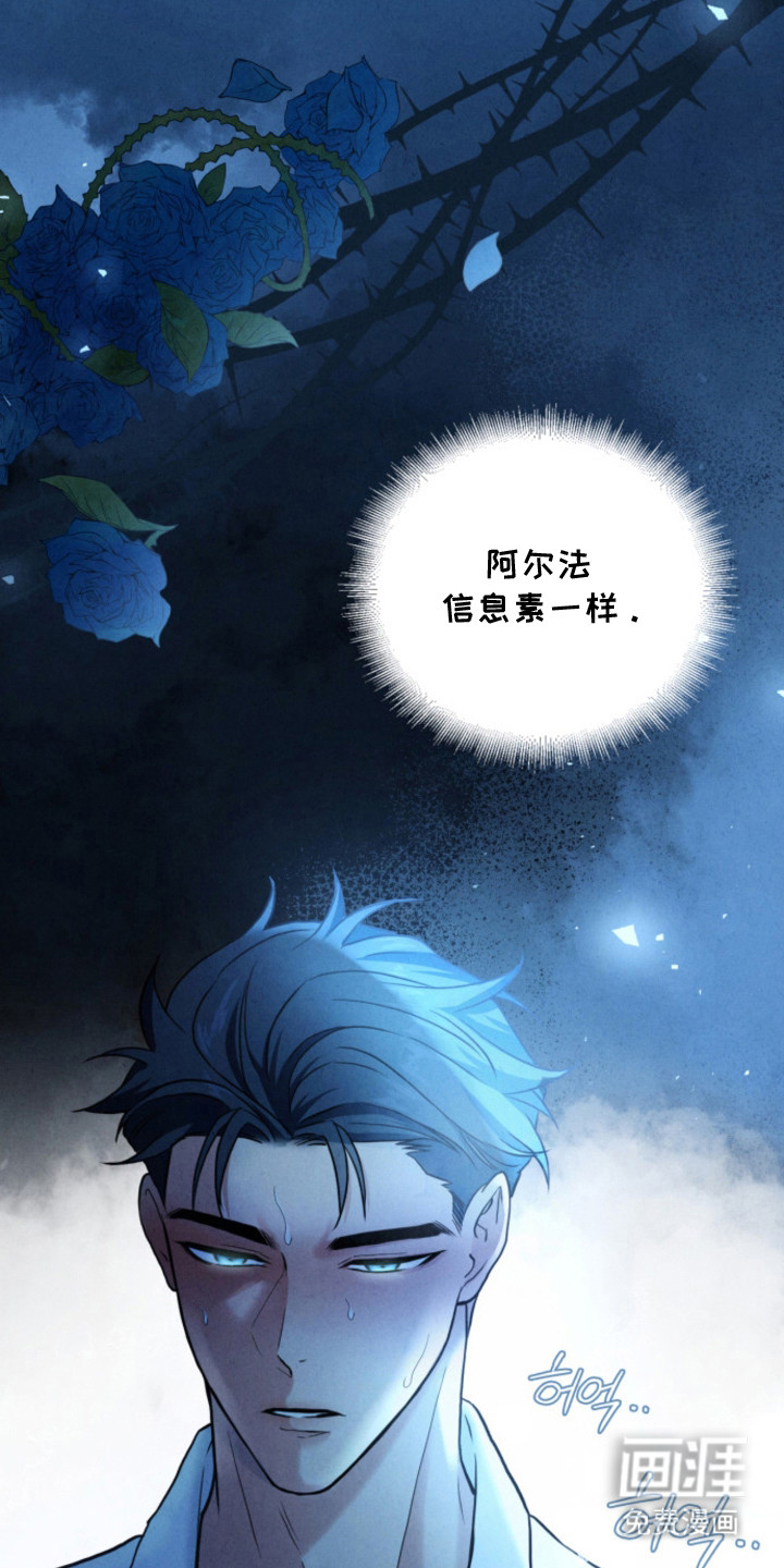 第10话9