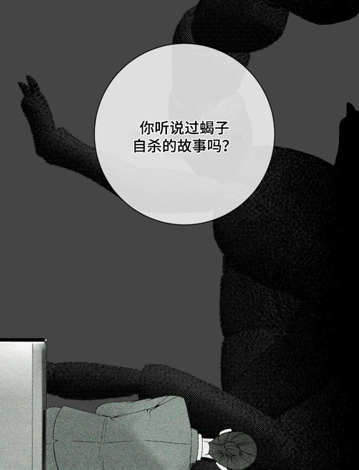 第54话17