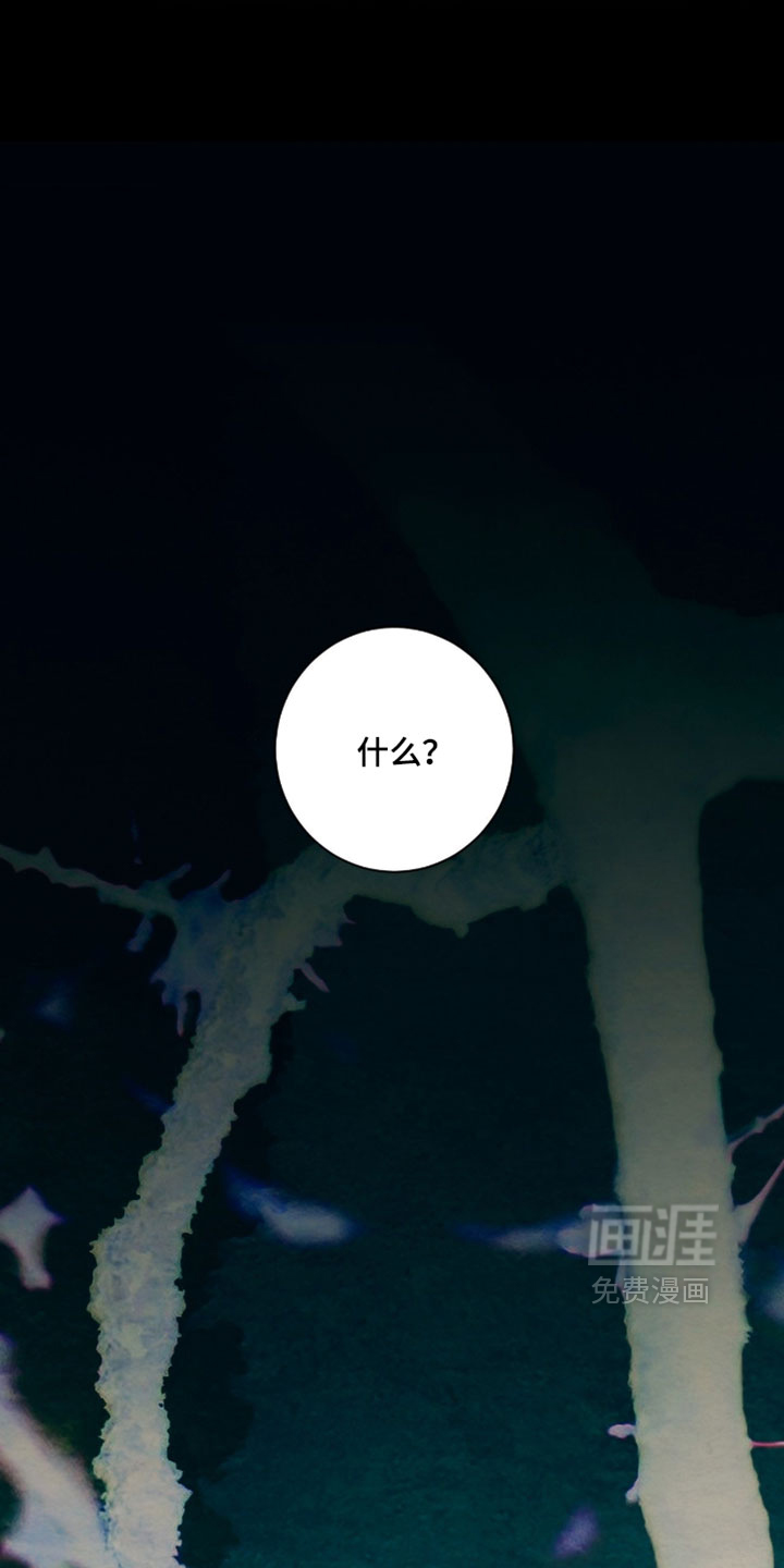 第54话0