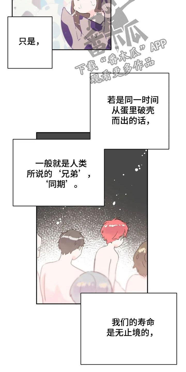 第51话4