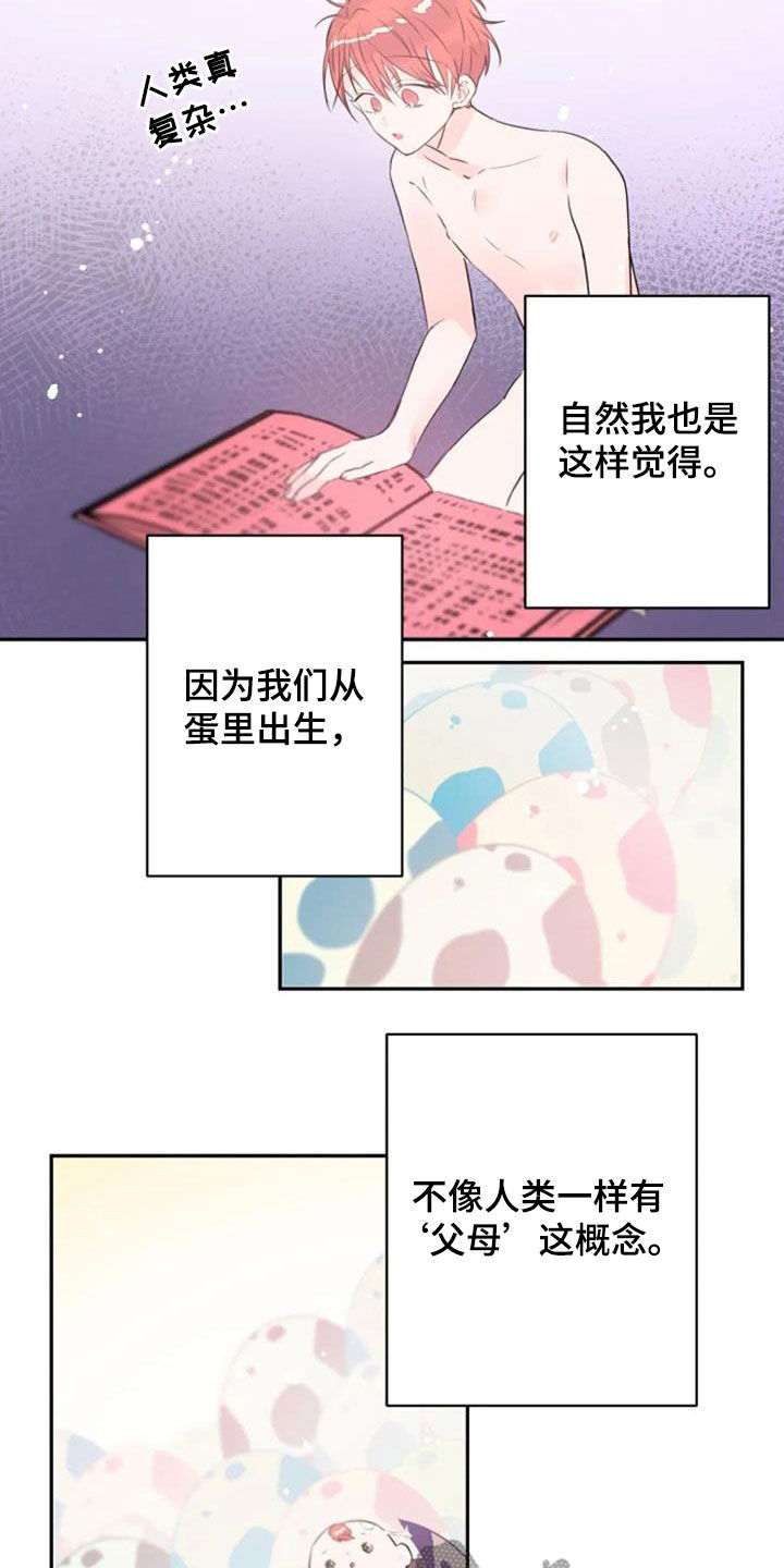 第51话3