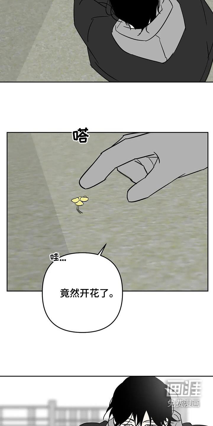 第83话7