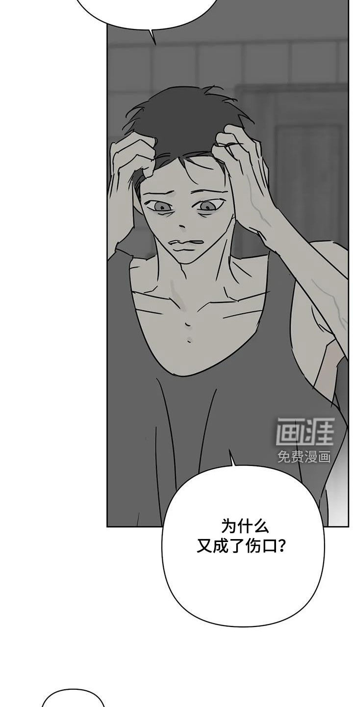 第51话1