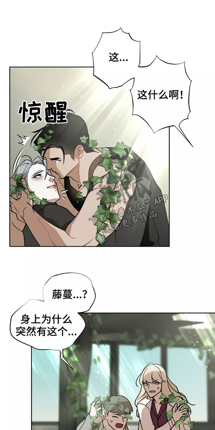 第62话16