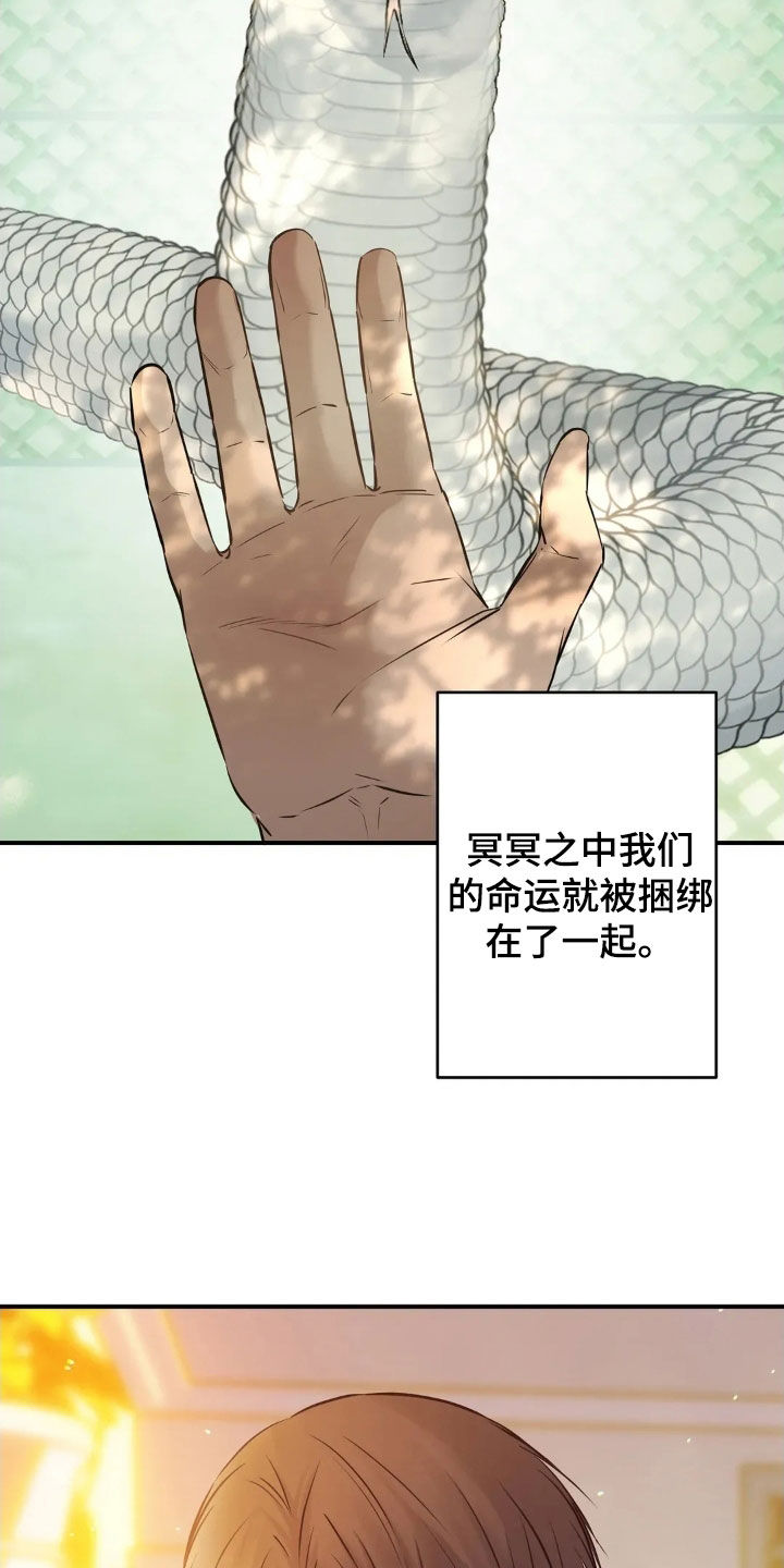 第65话27