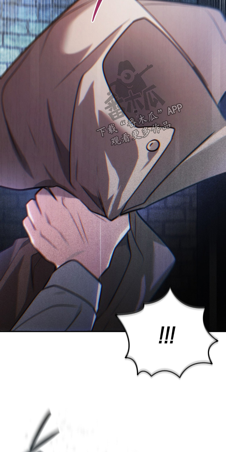 第118话21