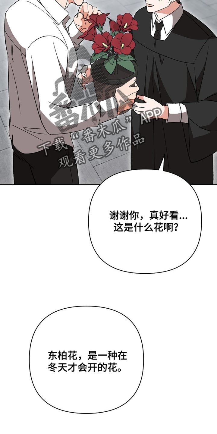 第77话20