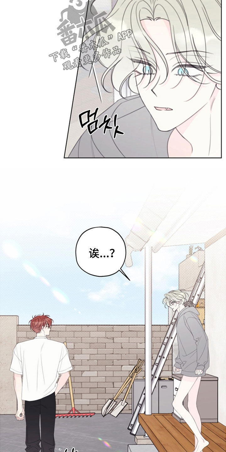 第116话3