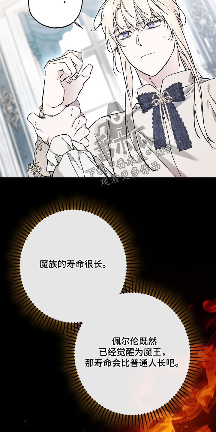 第135话11
