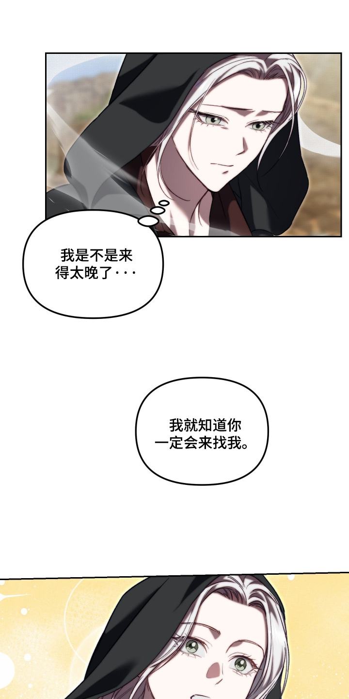 第100话20