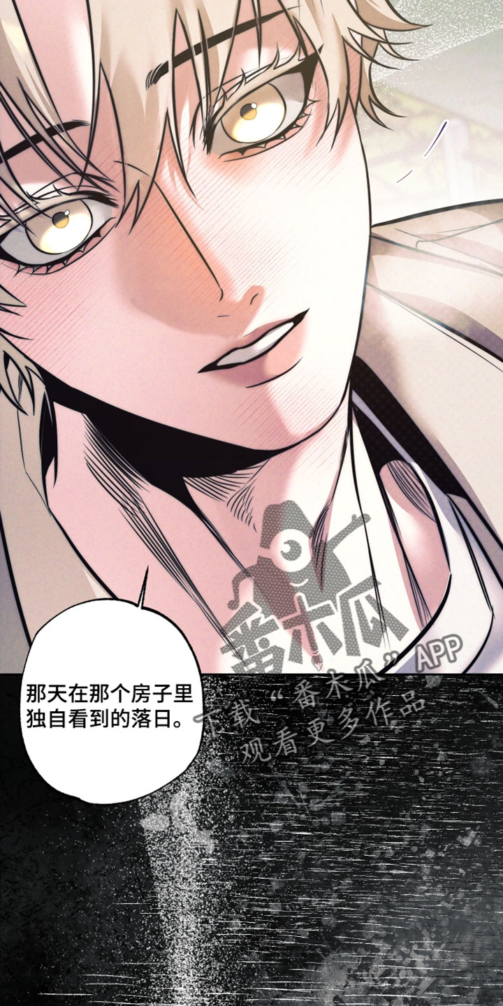 第117话5