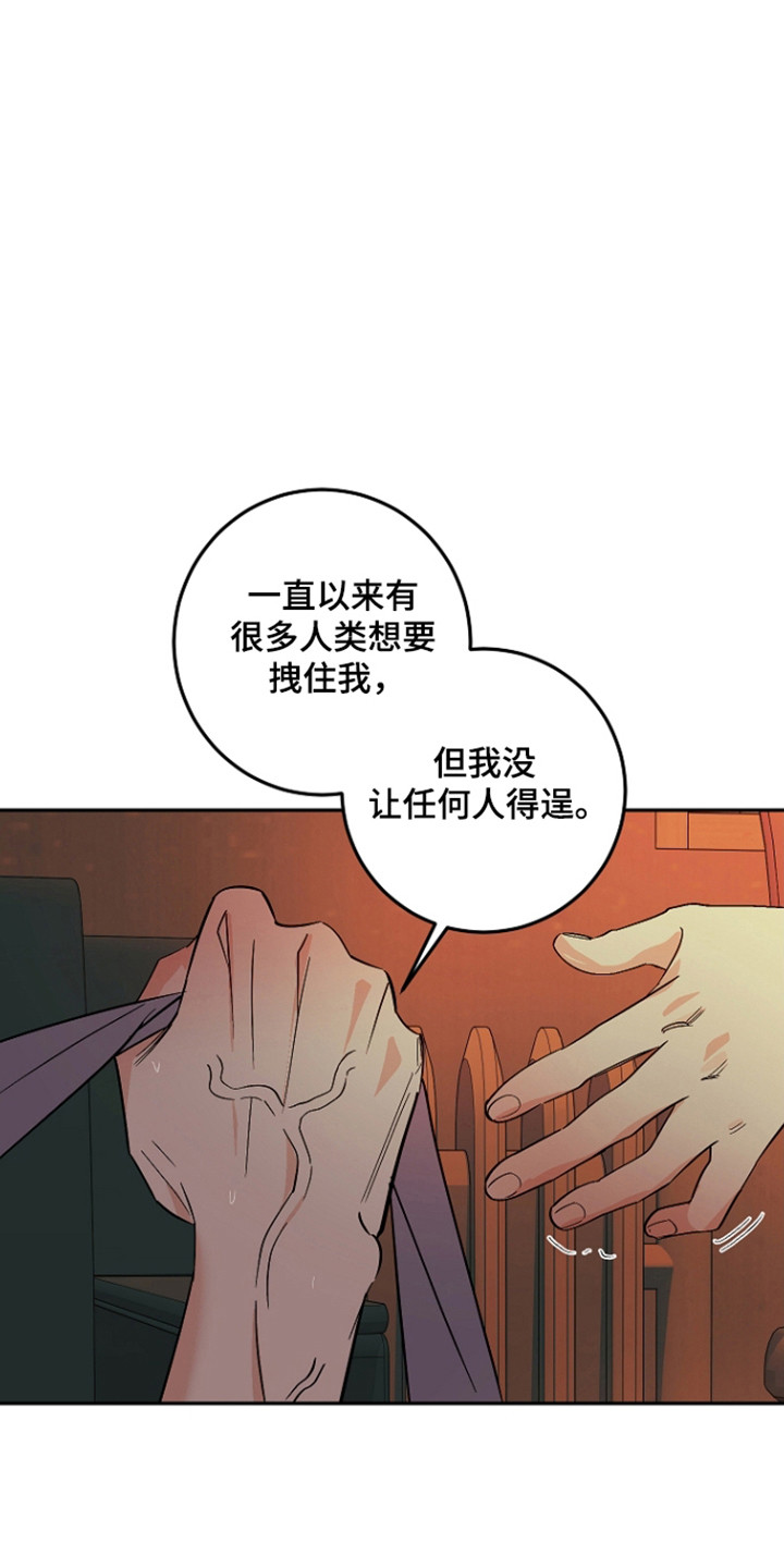 第127话8