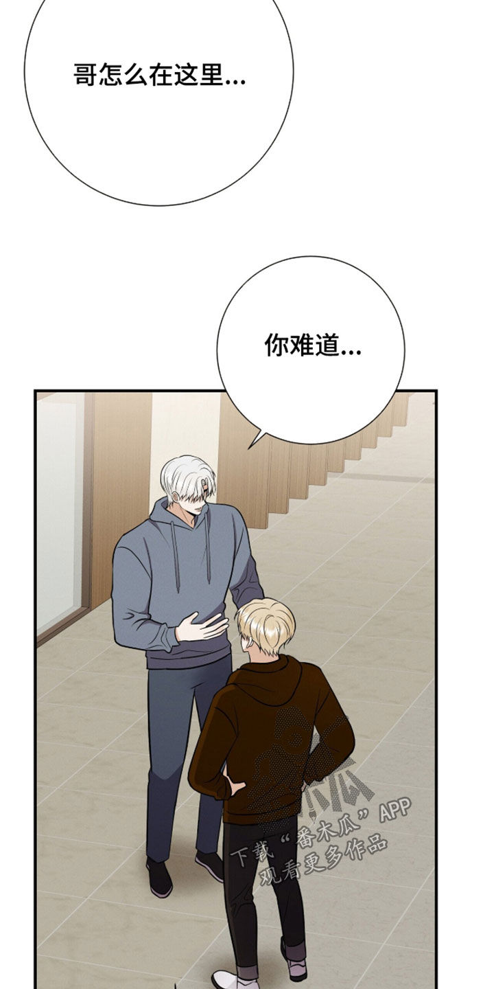 第104话6
