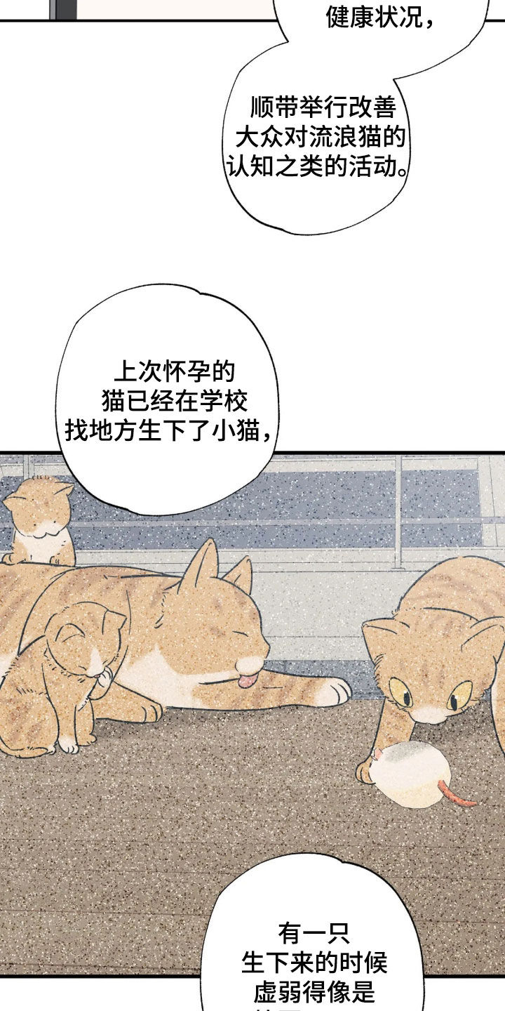 第49话14