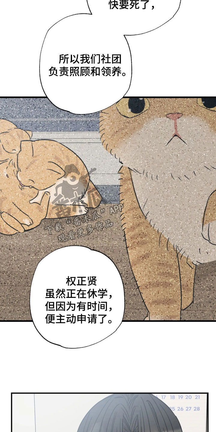第49话15