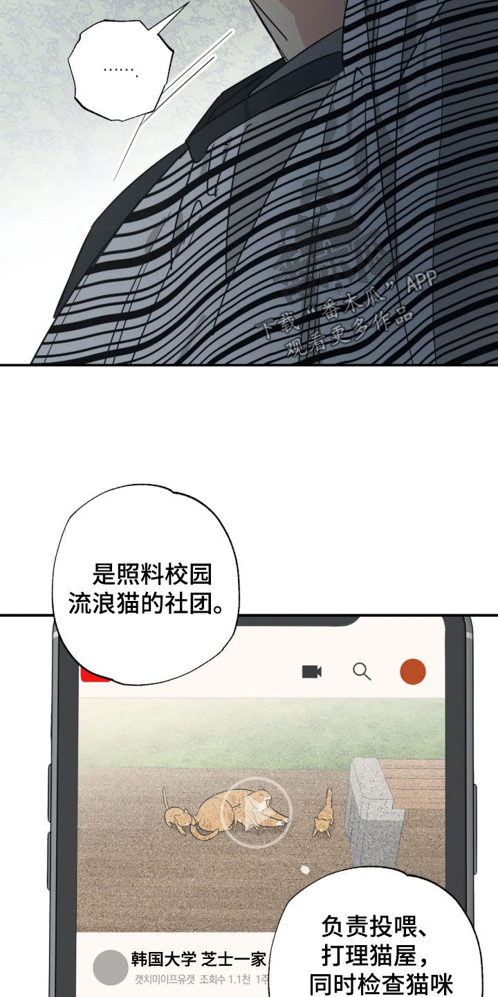 第49话13