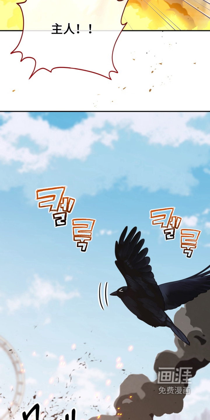 第209话14