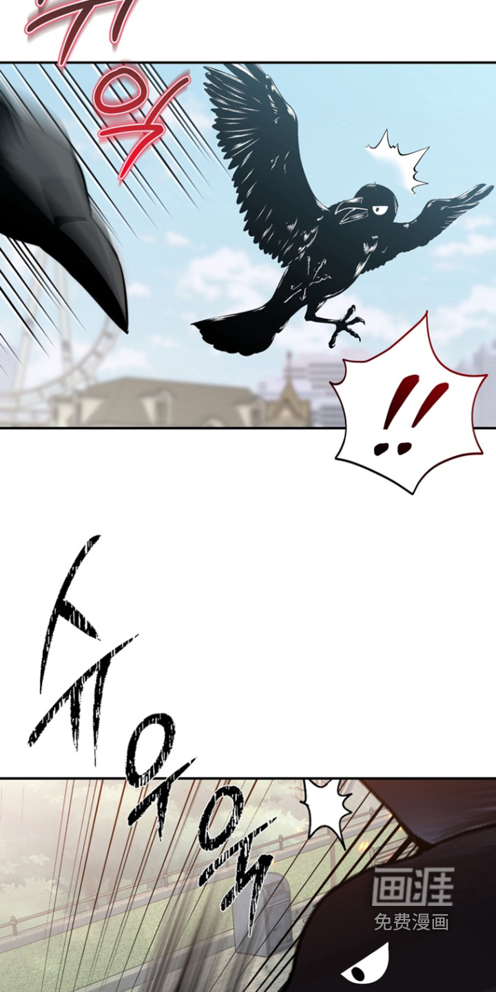 第209话11
