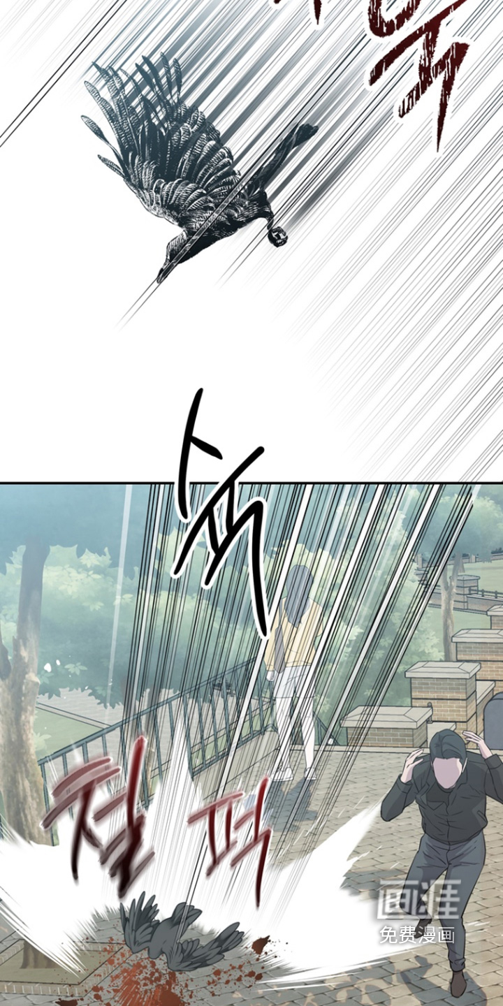 第208话13