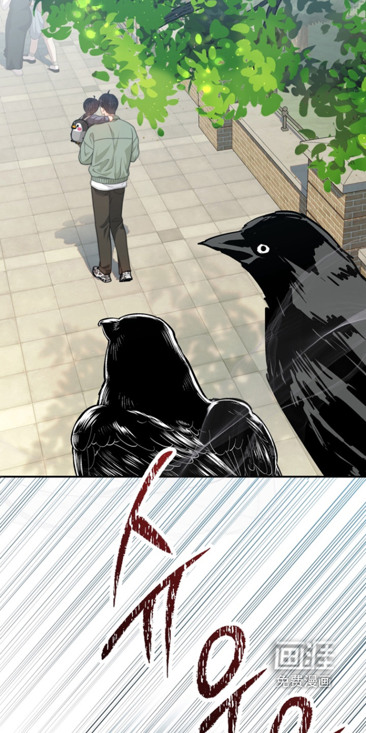 第208话12