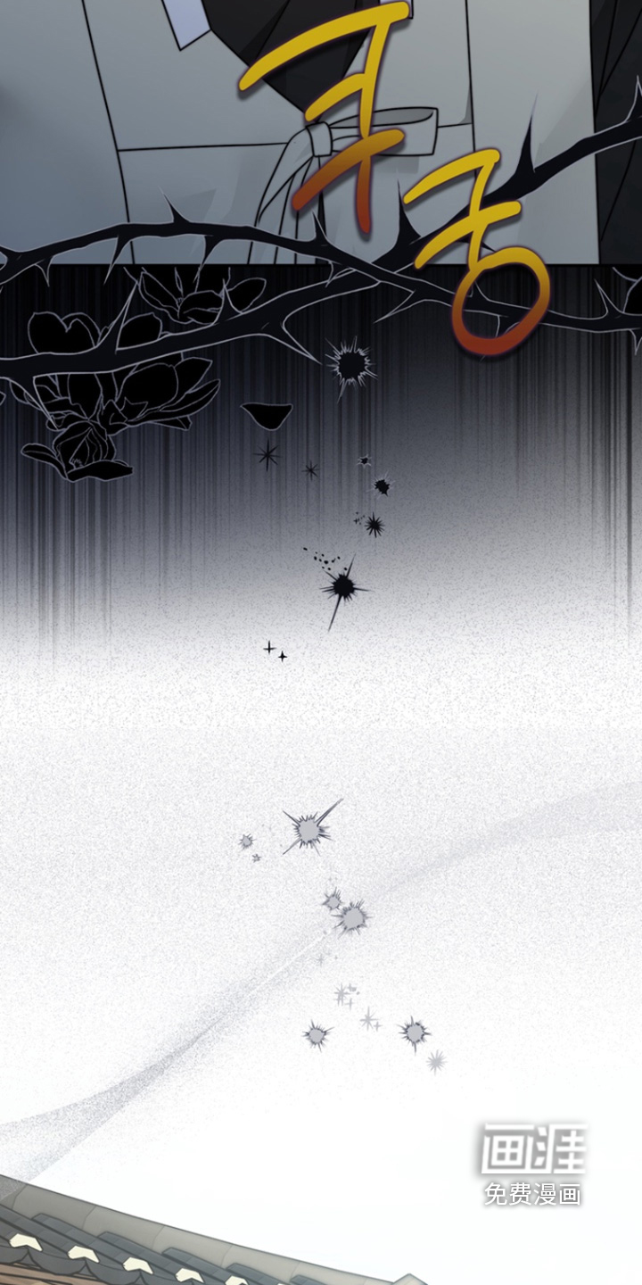 第210话17