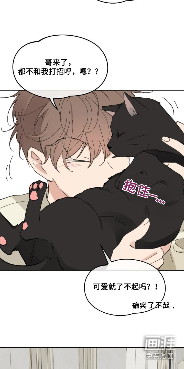 第211话12