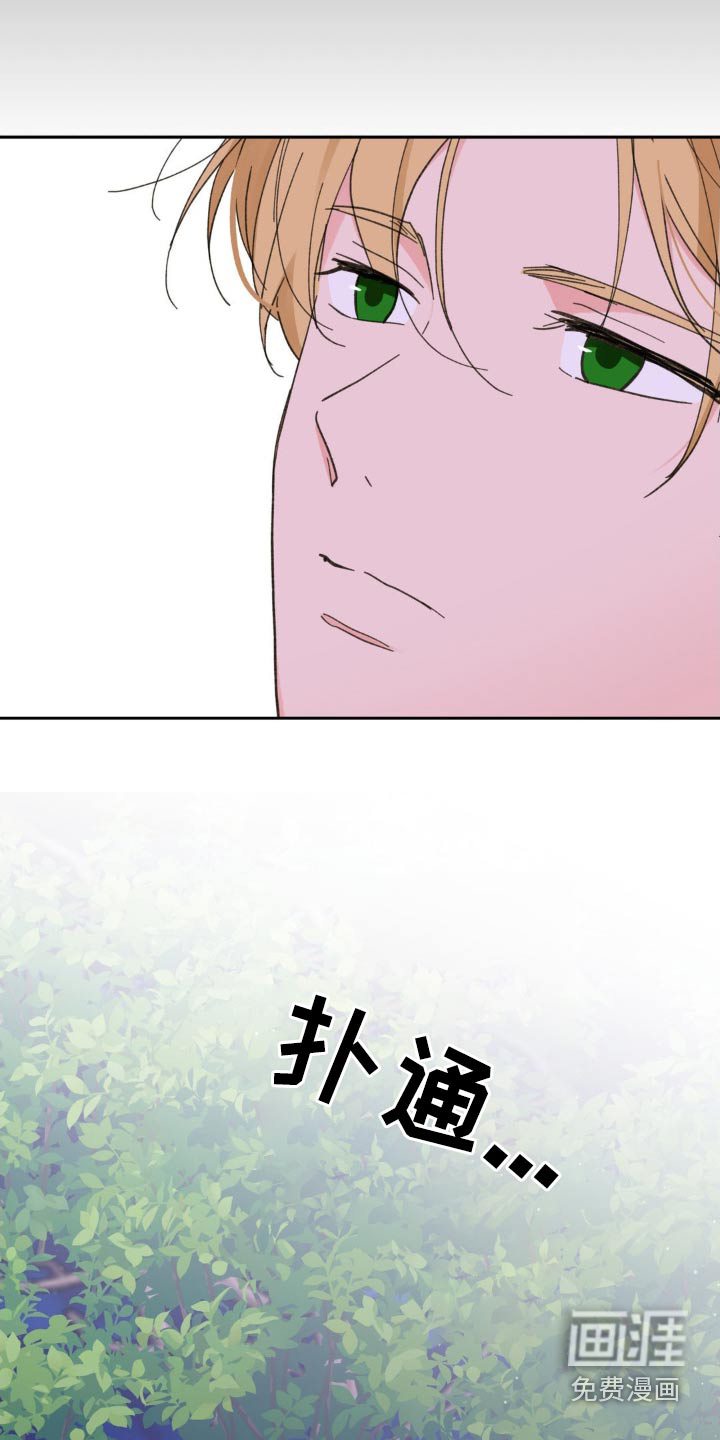 第207话22