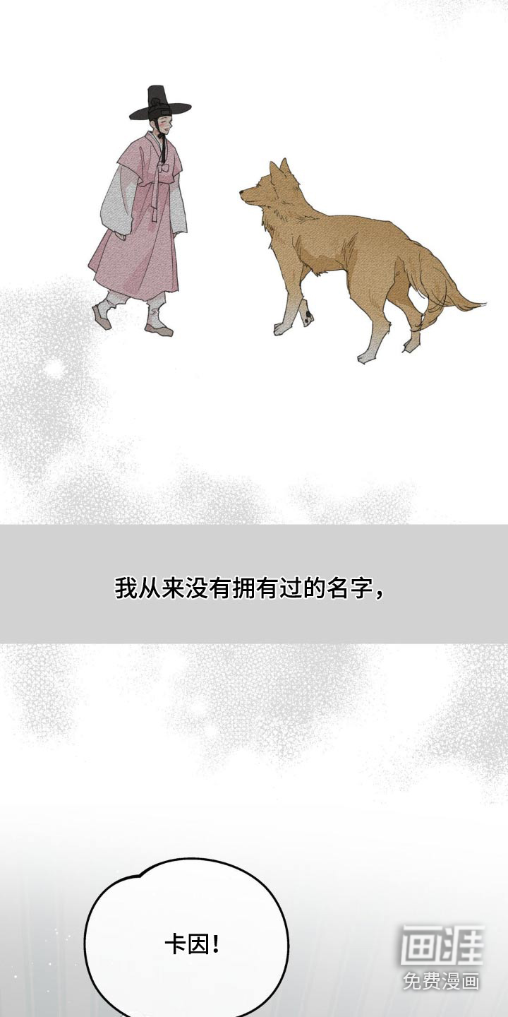 第205话11