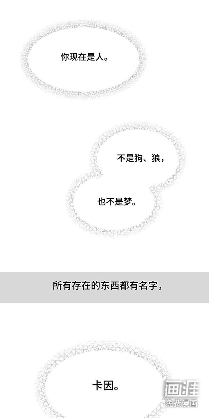 第205话14