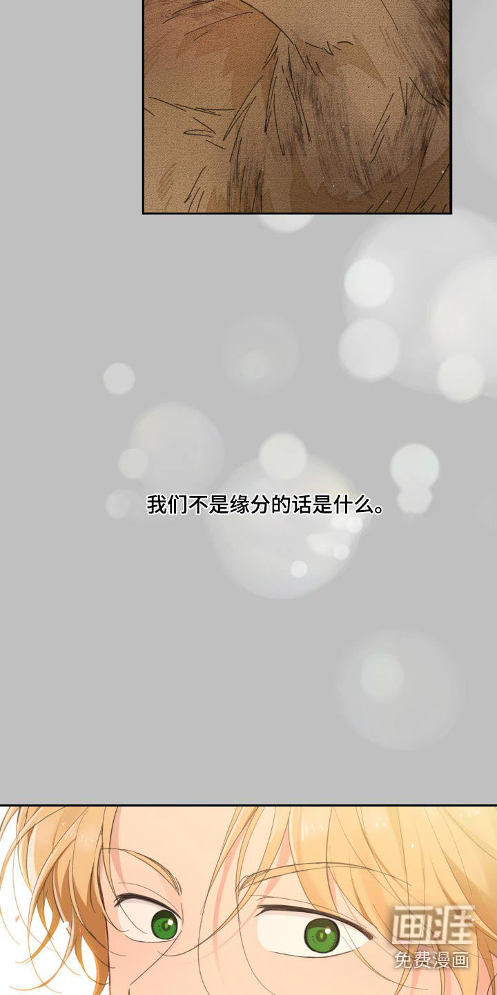 第204话26
