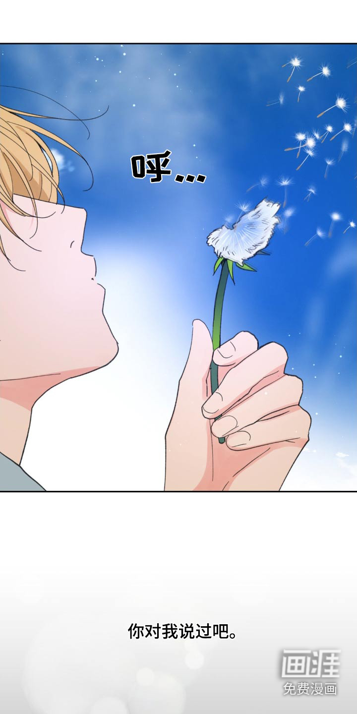 第204话24