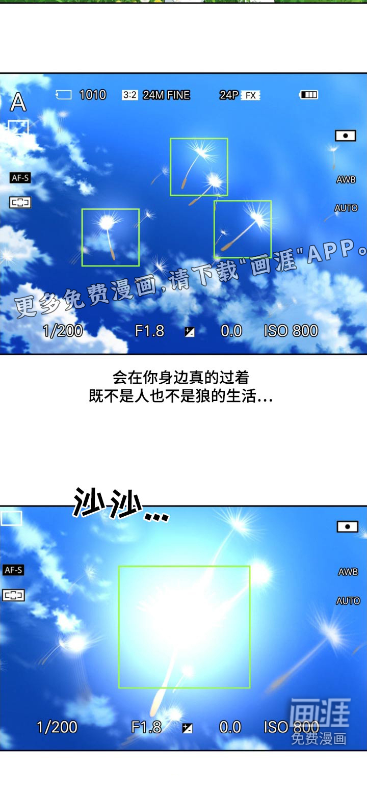 第204话31