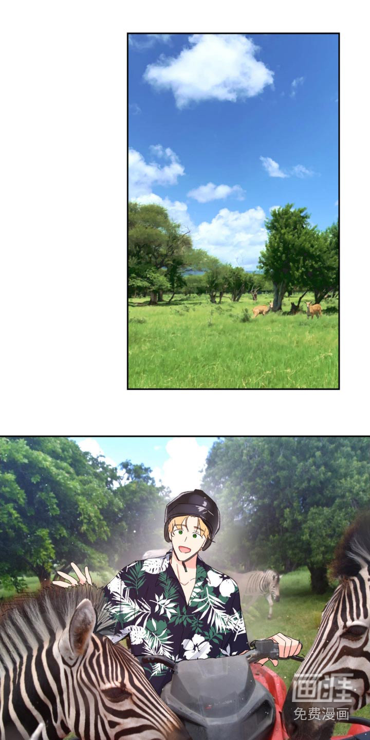 第204话16