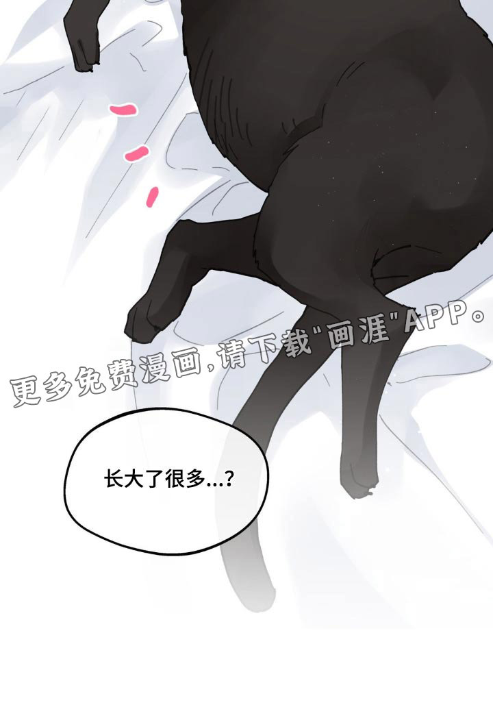 第198话21