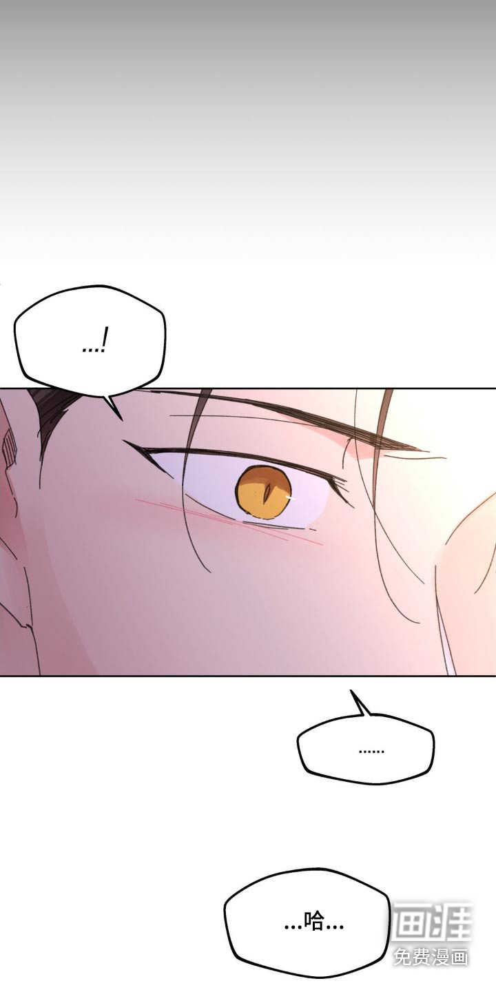 第197话8