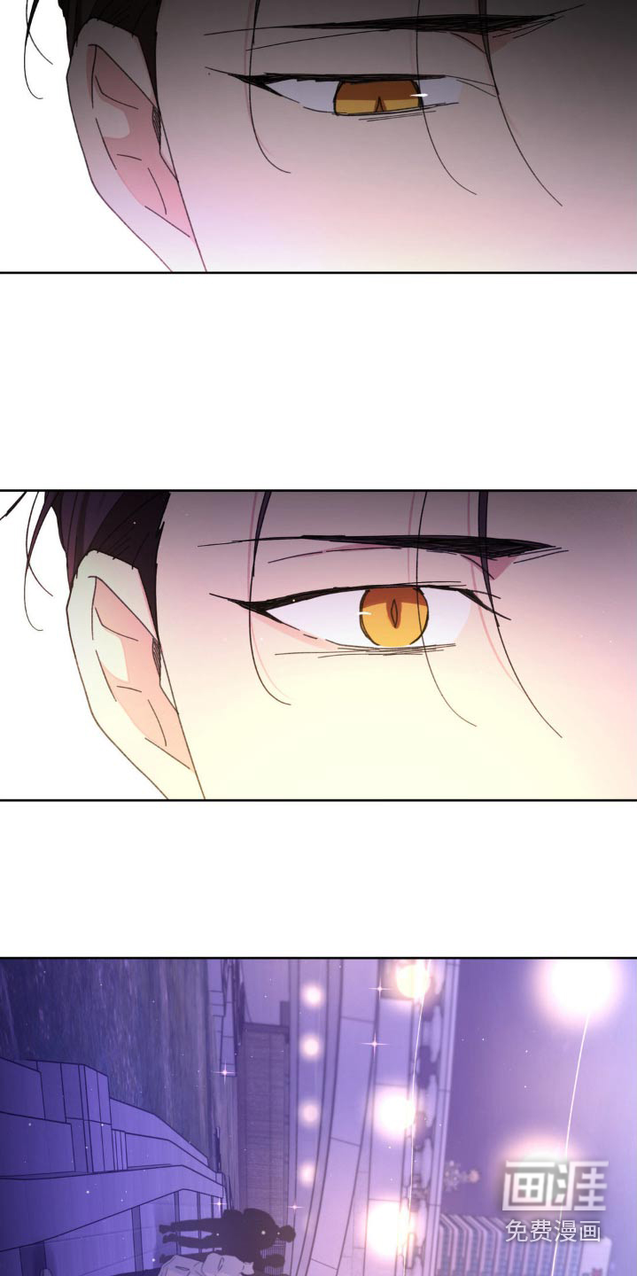 第195话1