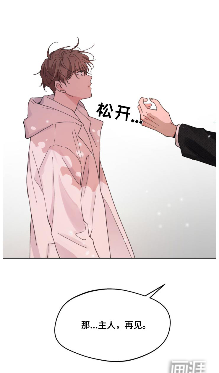 第190话5