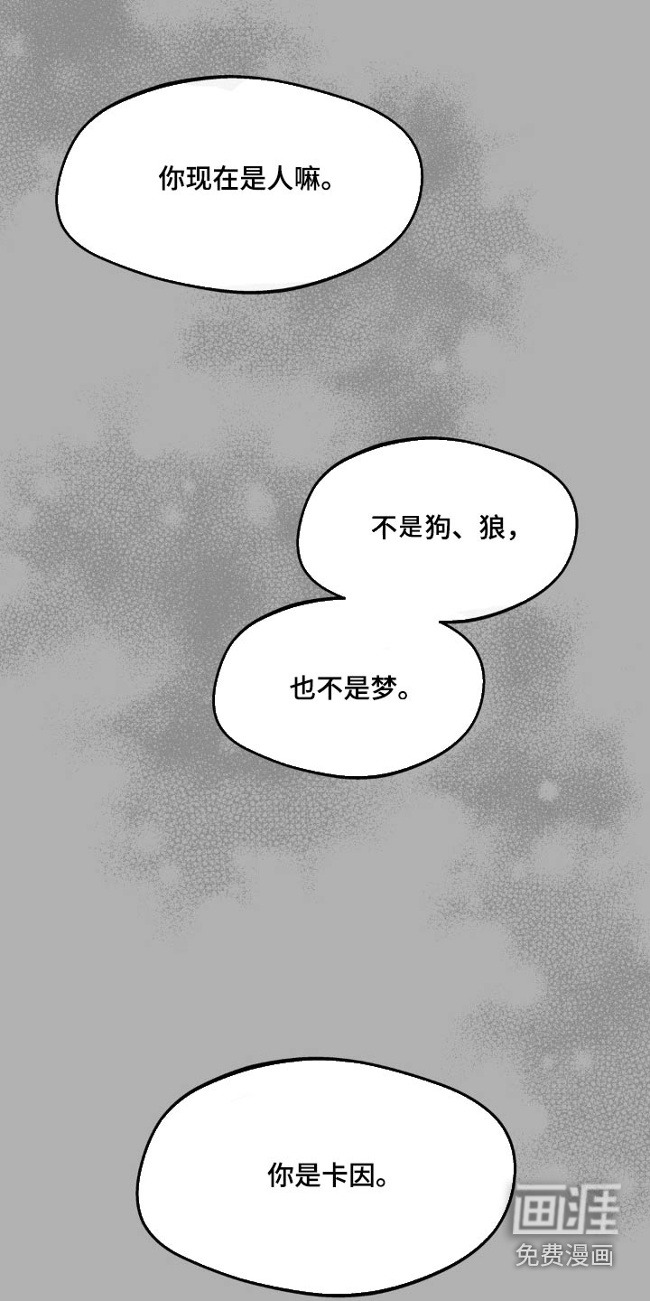 第188话5