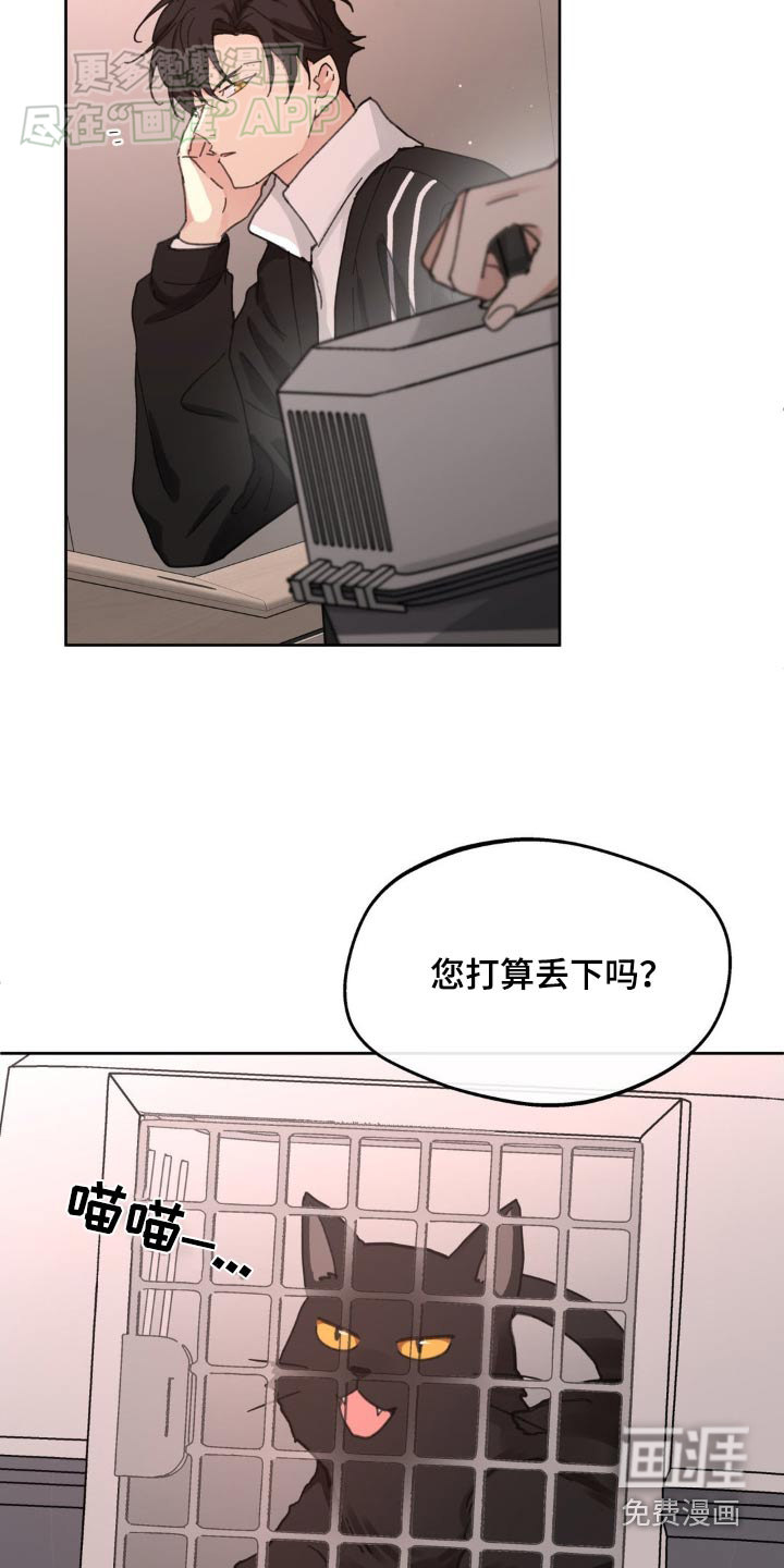 第181话17