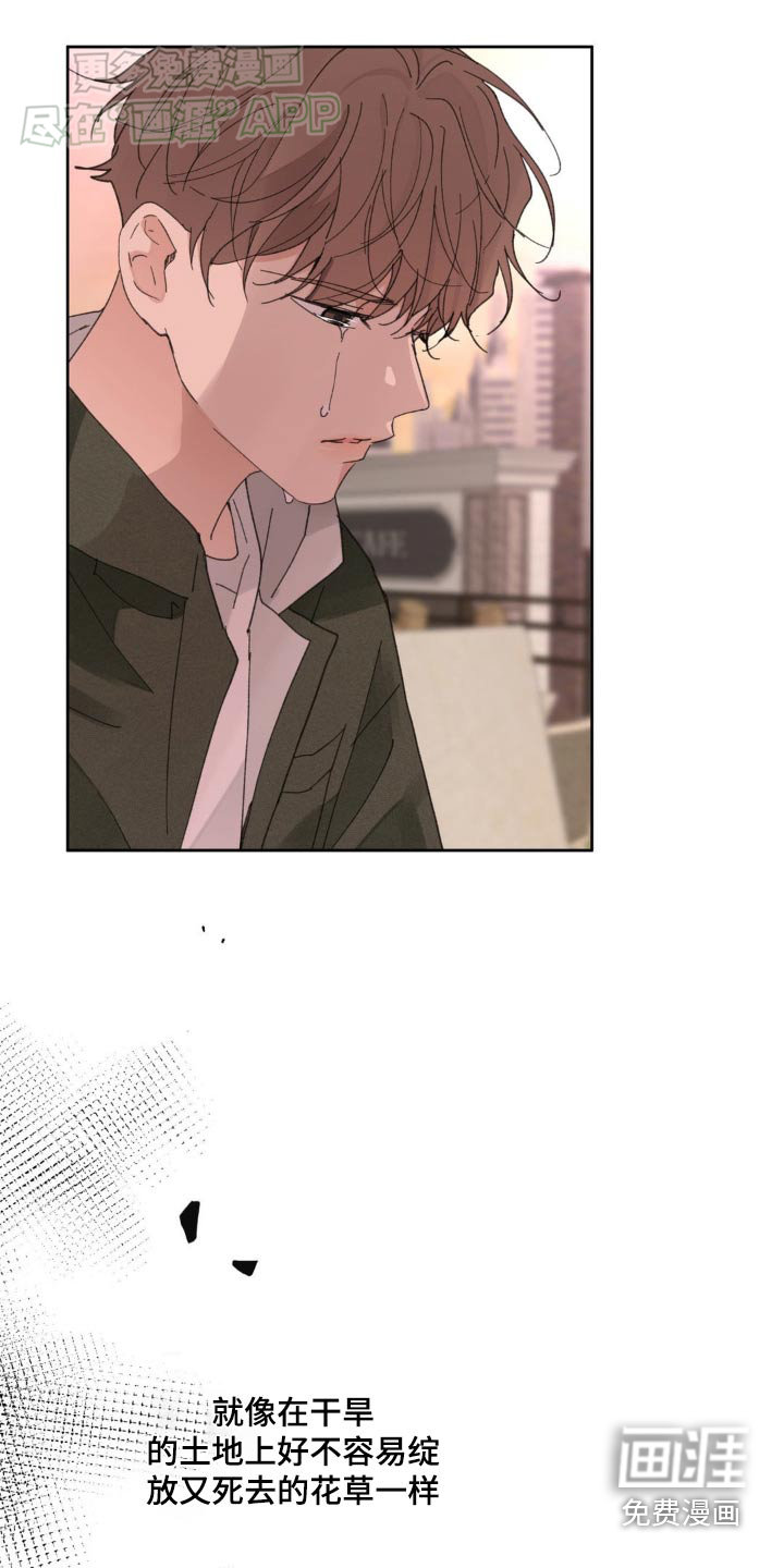 第178话16