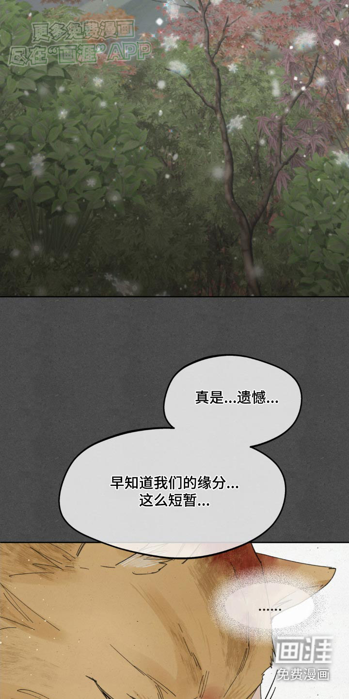 第174话27