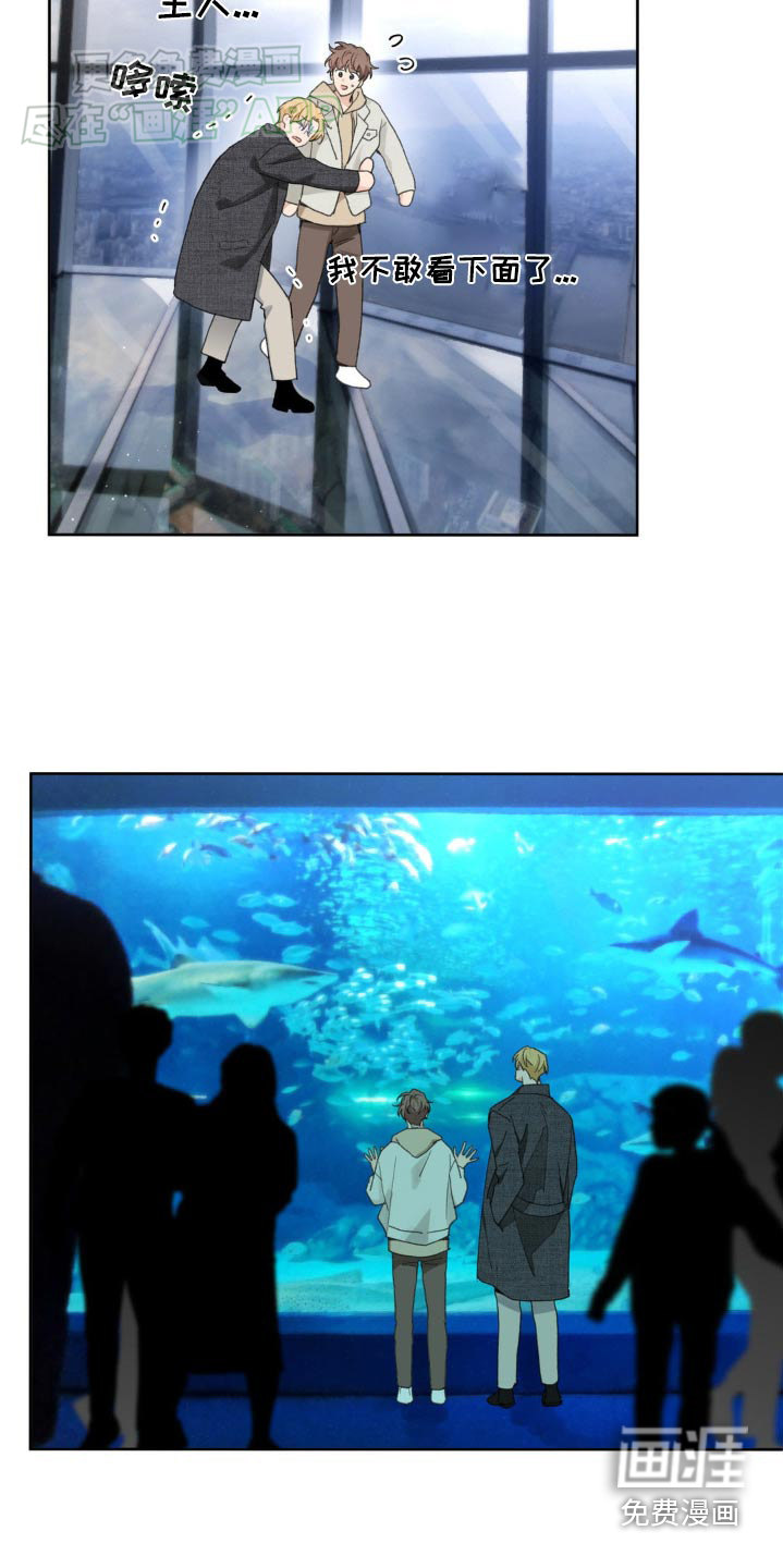 第166话6